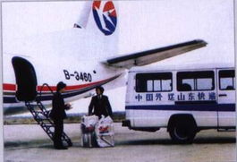 山東物流公司如何選擇靠譜的國際貨運代理？以青州為例